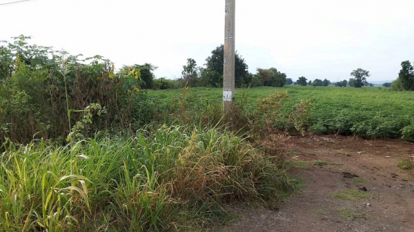 ขายที่ดิน