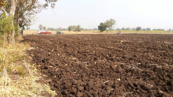 ขายที่ดิน