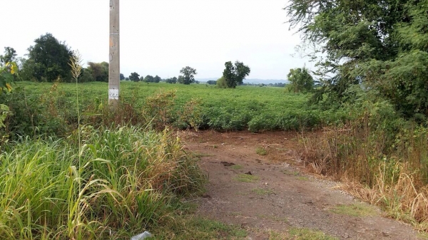 ขายที่ดิน