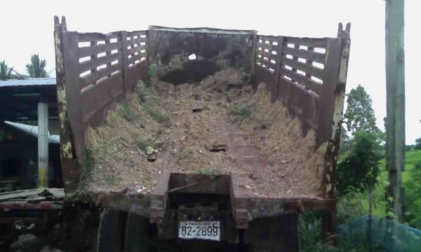 ไอ้หลง MA