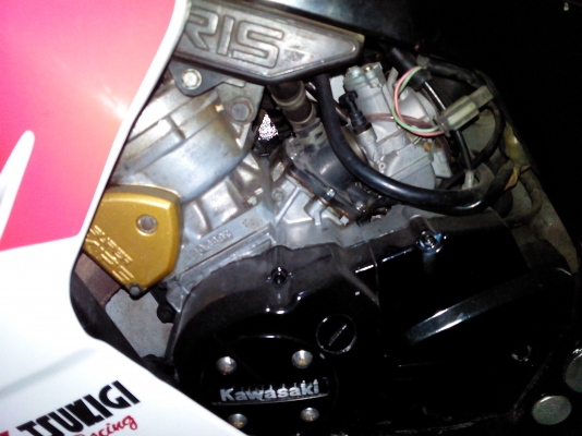 ขาย Serpico 150