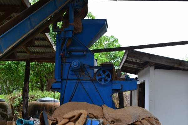 ขายหัวสีข้าวโพด