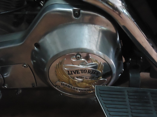 ขายHarley davidson ปี1986