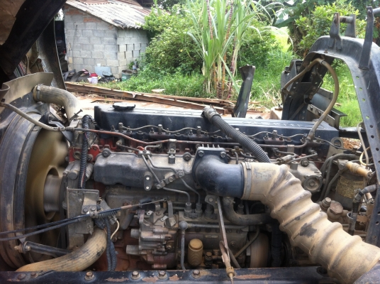 ขาย 195 นางฟ้าแท้ ลดเหลือ 950,000