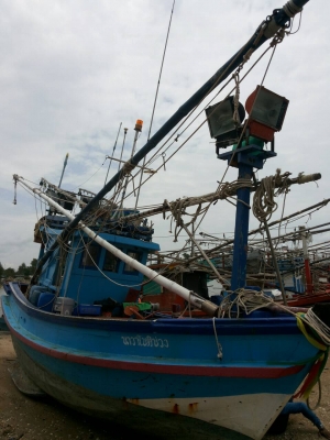 ขายเรือไดหมึกสภาพดี