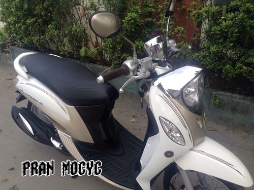 ขาย fino fi สีขาวน้ำตาล ปี2013 ขาย fino fi สีขาวน้ำตาล ปี2013