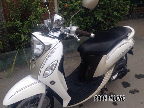 ขาย fino fi สีขาวน้ำตาล ปี2013 ขาย fino fi สีขาวน้ำตาล ปี2013