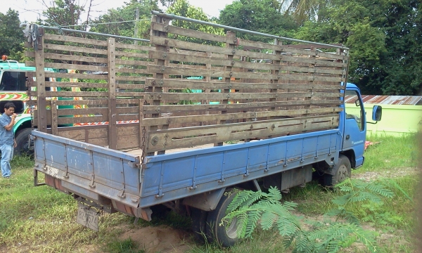 ขายรถ6ล้อisuzu npr120แรงม้า ฝาดำ ถุกๆพร้อมใช้