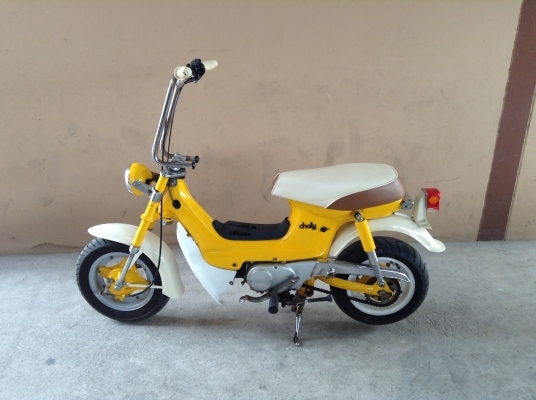 ขาย!!! ฮอนด้าชาลี50cc สภาพสวย บังโคลนเหล็ก รถเครื่องดีคับ ขับขี่ดี มีเอกสารซื้อขายคับ