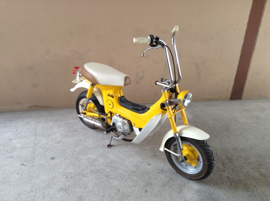 ขาย!!! ฮอนด้าชาลี50cc สภาพสวย บังโคลนเหล็ก รถเครื่องดีคับ ขับขี่ดี มีเอกสารซื้อขายคับ