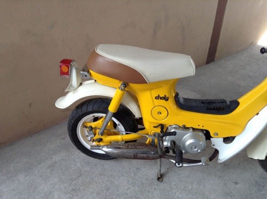 ขาย!!! ฮอนด้าชาลี50cc สภาพสวย บังโคลนเหล็ก รถเครื่องดีคับ ขับขี่ดี มีเอกสารซื้อขายคับ