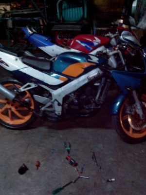 nsr proarm ( ขายแล้วครับ ขอบคุณครับ nsr proarm ( ขายแล้วครับ ขอบคุณครับ