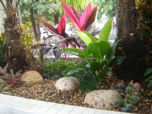 หินจัดสวน สวยและถูก ที่ระยอง โทร. 088-8369334 หินจัดสวน สวยและถูก ที่ระยอง โทร. 088-8369334