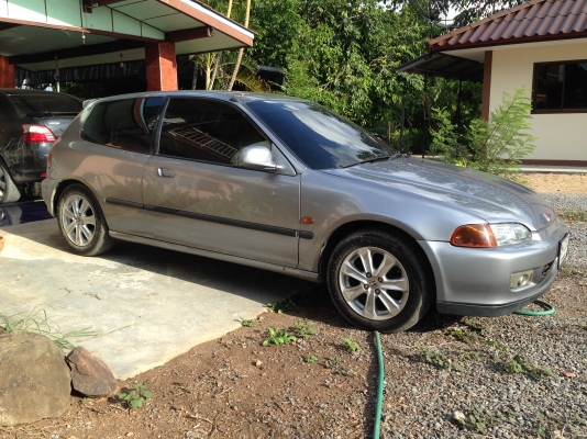 ขายสามดอสวยๆถูกเดิมๆ