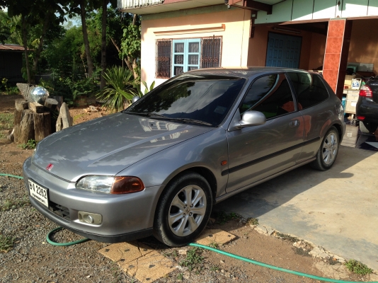 ขายสามดอสวยๆถูกเดิมๆ