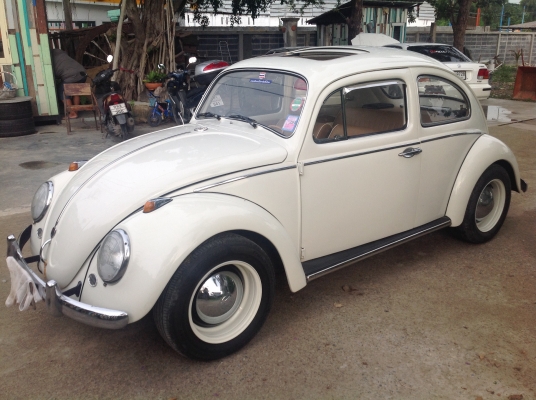 ขายเต่า67ทะเบียนพร้อมโอน สวยๆจบๆ