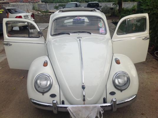 ขายเต่า67ทะเบียนพร้อมโอน สวยๆจบๆ ขายเต่า67ทะเบียนพร้อมโอน สวยๆจบๆ