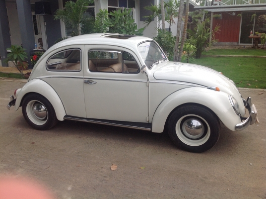 ขายเต่า67ทะเบียนพร้อมโอน สวยๆจบๆ ขายเต่า67ทะเบียนพร้อมโอน สวยๆจบๆ