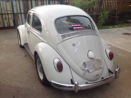 ขายเต่า67ทะเบียนพร้อมโอน สวยๆจบๆ ขายเต่า67ทะเบียนพร้อมโอน สวยๆจบๆ