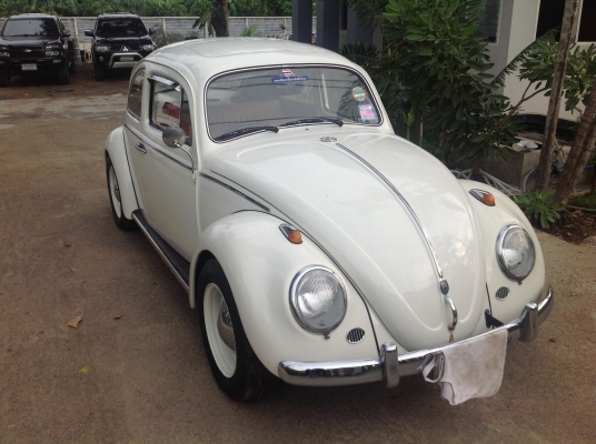 ขายเต่า67ทะเบียนพร้อมโอน สวยๆจบๆ ขายเต่า67ทะเบียนพร้อมโอน สวยๆจบๆ