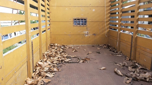 ***ขายแล้วครับขอบคุณ Truck2hand ขาย6ล้อสวยๆ เดิมบางสุดๆ 115 ยอดนิยม ISUZU 115 NPR59LU5M แก้มเหลืองห้างแท้ ปี36 เครื่องเดิมเกียร์เดิม เครื่อง4BD1-115แรง ฝาดำ แห้งๆ แรงดีไม่เยิ้มไม่หลวม เกียร์ดีไม่หลุดไม่หอน ใช้งานน้อยไมล์ 12x,xxx กม. ช่วงล่างเดิมๆ6น็อตหน้า ***ขายแล้วครับขอบคุณ Truck2hand ขาย6ล้อสวยๆ เดิมบางสุดๆ 115 ยอดนิยม ISUZU 115 NPR59LU5M แก้มเหลืองห้างแท้ ปี36 เครื่องเดิมเกียร์เดิม เครื่อง4BD1-115แรง ฝาดำ แห้งๆ แรงดีไม่เยิ้มไม่หลวม เกียร์ดีไม่หลุดไม่หอน ใช้งานน้อยไมล์ 12x,xxx กม. ช่วงล่างเดิมๆ6น็อตหน้า