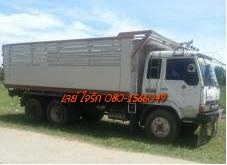 ***ขายแล้วครับขอบคุณ Truck2hand ขาย10ล้อ2เพลาดั้ม"หลงTD" MITSU FN527M-TD3xxx 6D16-195HP เครื่องเดิมเกียร์เดิม 195แรง แห้งดีแน่นดี แรงดีไม่เยิ้ม เกียร์เดิม10สปีด ไม่หอนไม่หลุด ช่วงล่างเดิม เบรคใหญ่เพลาบุ๋มแล้ว คัสซีสวยเดิมไม่ปะไม่ดาม กระบะดั้มข้า