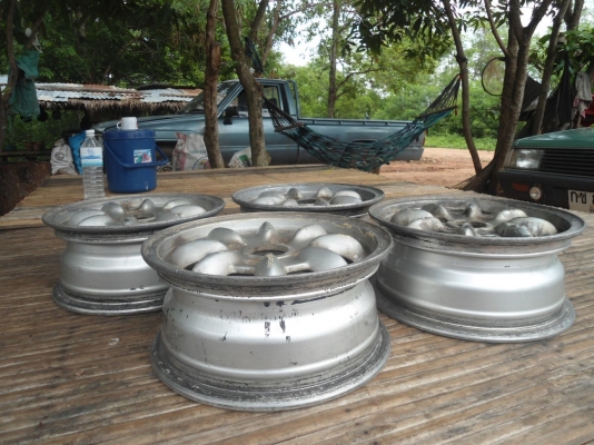 ขายต่อครับ ขาย ล้อกล้วย Enkai ขอบ 13 4 รู 114.3 กว้าง 5.5 แท้ ขายต่อครับ ขาย ล้อกล้วย Enkai ขอบ 13 4 รู 114.3 กว้าง 5.5 แท้