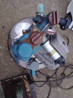 ปั้มน้ำมากีตา 250 W ถังสแตนเลส