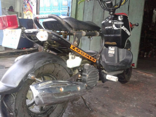 ขาย zoomer โช๊คทอง ล้อแม็ค โครงโหลด ครอบไฟหน้า