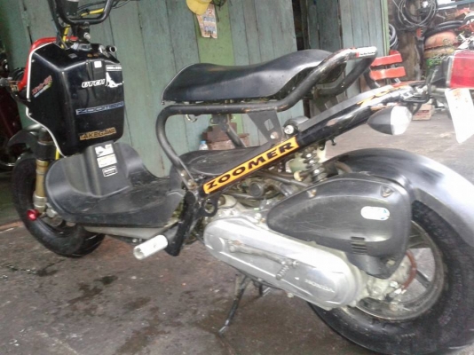 ขาย zoomer โช๊คทอง ล้อแม็ค โครงโหลด ครอบไฟหน้า