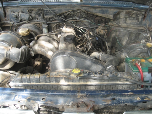 มิตชู    45,000  บาท