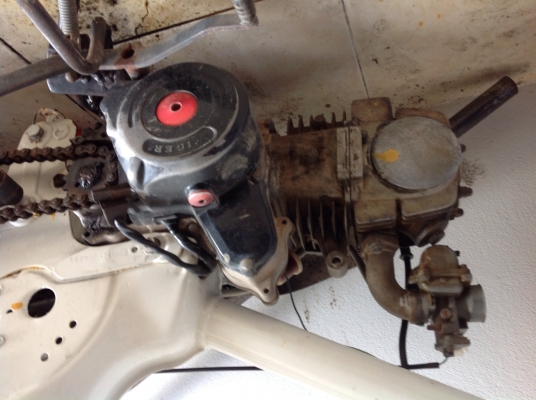 ขายเครื่องไทเกอร์125มีเล่ม