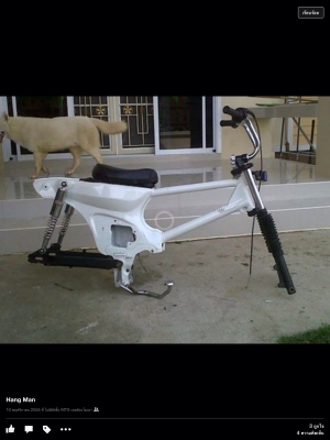 ขายโครงcแนวๆ