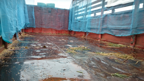 ขายรถ 10 ล้อ KT925 1เพลา ดั้ม สภาพสวยพร้อมใช้ ขายรถ 10 ล้อ KT925 1เพลา ดั้ม สภาพสวยพร้อมใช้