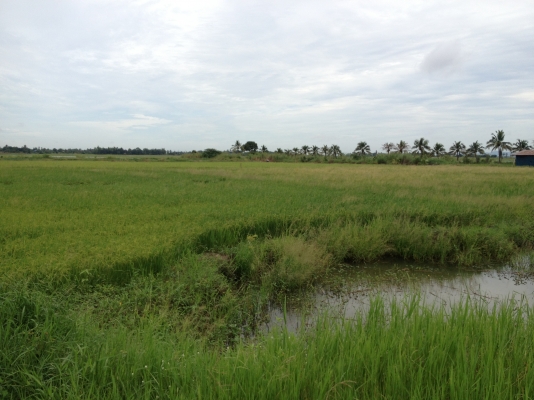 ขาย36  พร้อมใช้ รถใช้งานน้อยเดิมๆ แน่นครับ