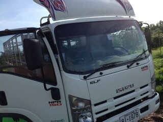 ขายครับ ISUZU NPR 150 ปี52 ยาว 5เมตร คอดแป๊ปเหล็กสูง พร้อมใช้ เอกสารพร้อมโอน