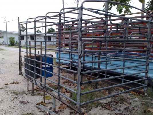 ขายคอกเหล็กแป๊บน้ำ ใส่ สี่ล้อใหญ่ แข็งแรงครับ ขายคอกเหล็กแป๊บน้ำ ใส่ สี่ล้อใหญ่ แข็งแรงครับ