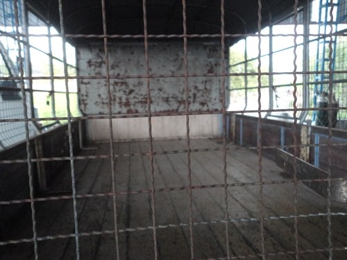 ขายเอ็นพีอา58Lยาว4.30เครื่อง110ครับ