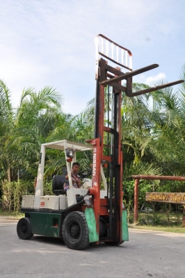 ขายFORKLIFT NISSAN2ตัน สภาพสวยเดิมจากญี่ปุ่นยังไม่เคยใช้านในไทย 135,000เท่านั้น!!!