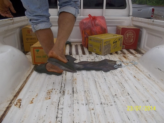 ขายฮีโร่ ยกสูง สักคัน