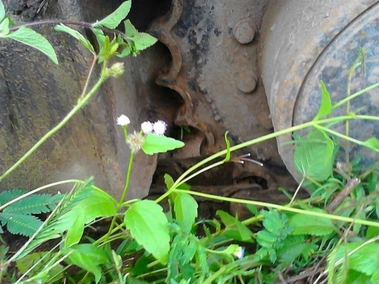 ขาย KOMATSU PC 120-3 คอนโทรลยาว สภาพสวยพร้อมใช้ ราคาต่อรองได้ ติดต่อได้ที่คุณ อ๊อฟ พิจิตร 086-737-9991