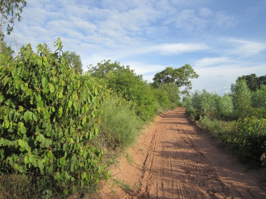 ที่ดินแปลงสวย บนโครงการถนนบายพาสเส้นใหม่ นครราชสีมา