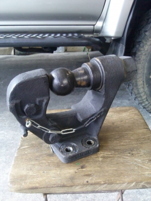 ขายปากนกแก้วหัวบอล