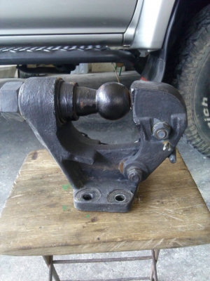 ขายปากนกแก้วหัวบอล ขายปากนกแก้วหัวบอล