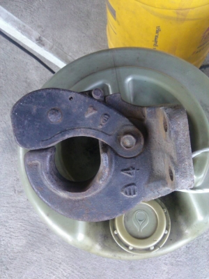 ขายปากนกแก้ว JAPAN แท้ ขายปากนกแก้ว JAPAN แท้