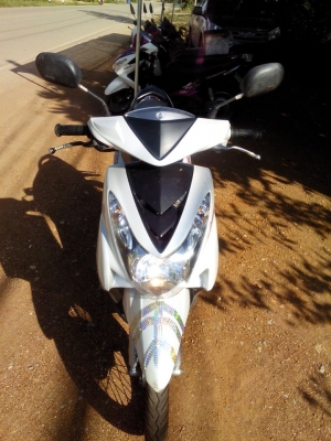 มีโอตาโตปี52