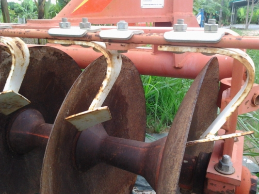 ขายผาน 6* 22 ตราช้าง ขายผาน 6* 22 ตราช้าง