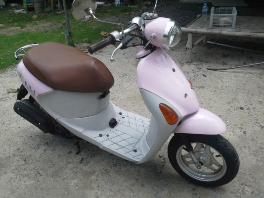 รถป๊อปประกอบใหม่ สไตร์น่ารัก รถป๊อปประกอบใหม่ สไตร์น่ารัก