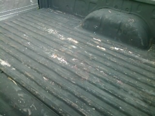 มิตซูปี95 แคป พวงมาลัยเพาเวอร์ จอโค้ง เครื่องดี คัชชีสวยจัด เล่มพร้อมเอกสารครบ ภาษี56