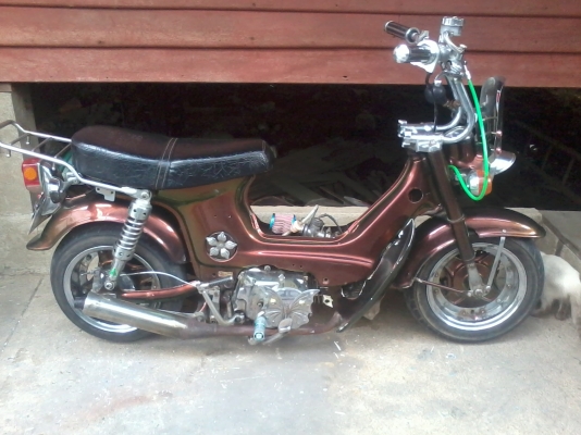 ขายชาลี แต่งยุ่นโหลดสวย มือสอง ด่วนครับ